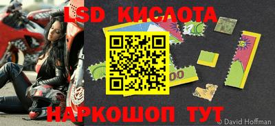 сатива Краснодар