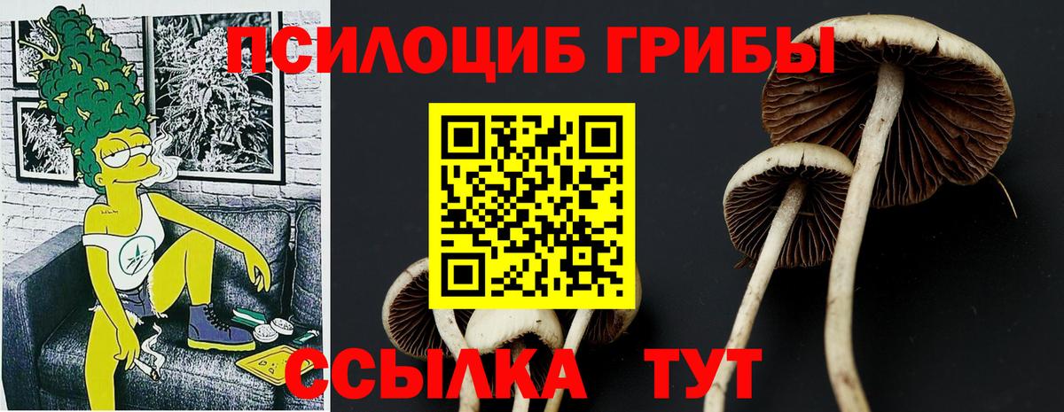 Псилоцибиновые грибы Psilocybe Карталы