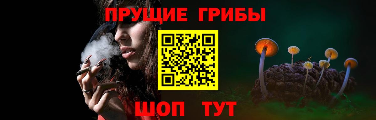 Карталы  Псилоцибиновые грибы мицелий  Вход с VPN 